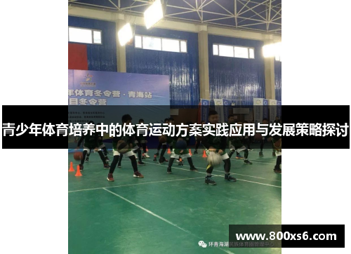 青少年体育培养中的体育运动方案实践应用与发展策略探讨